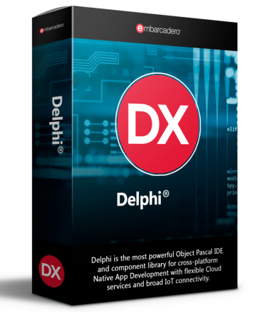 Delphi Professional Network Named License