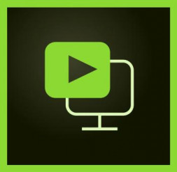 Adobe Presenter Video Expr for teams Level 12 10-49 (VIP Select 3 year commit) Продление
