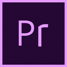 Adobe Premiere with Adobe After Effects 1 год