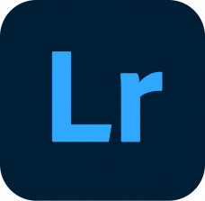 Adobe Lightroom Professional for Teams Subscription Renewal 1 user