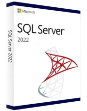 SQL Server 2022 Enterprise - 2 Core License Pack - 1 year