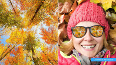 Photoshop Elements 2022  PC/Mac + premiere elements 2022 pc/Mac.