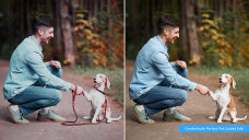 Photoshop Elements 2022  PC/Mac + premiere elements 2022 pc/Mac.