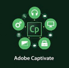 Adobe Captivate for enterprise 1 User Level 14 100+ (VIP Select 3 year commit)