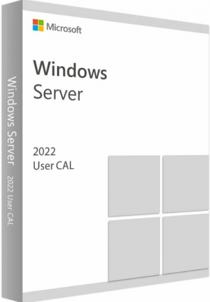 Windows Server 2022 Remote Desktop Services - 1 User CAL 3 Year
