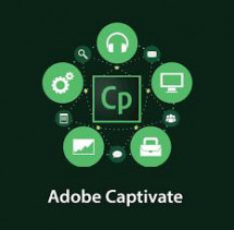 Adobe Captivate for enterprise 1 User Level 1 1-9, 12 Мес.