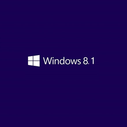 Microsoft Windows 8.1 Professional 32/64 Bit (1PC)
