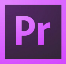 Adobe Premiere Pro for enterprise Education Named Level 2 10-49 Продление